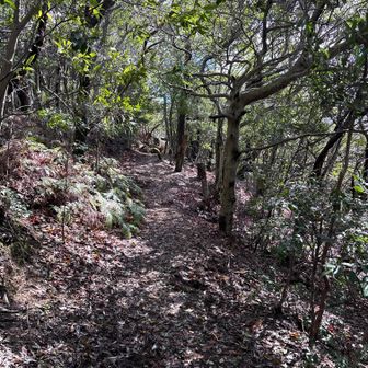 展望台から右へ進む