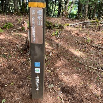 登山開始から約２時間半ようやく櫛形山登頂。経過した時間より長く感じたな～さすが修行の山