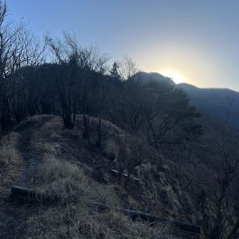 ごらんよ、檜洞丸の向こうから朝日が昇ってくる。