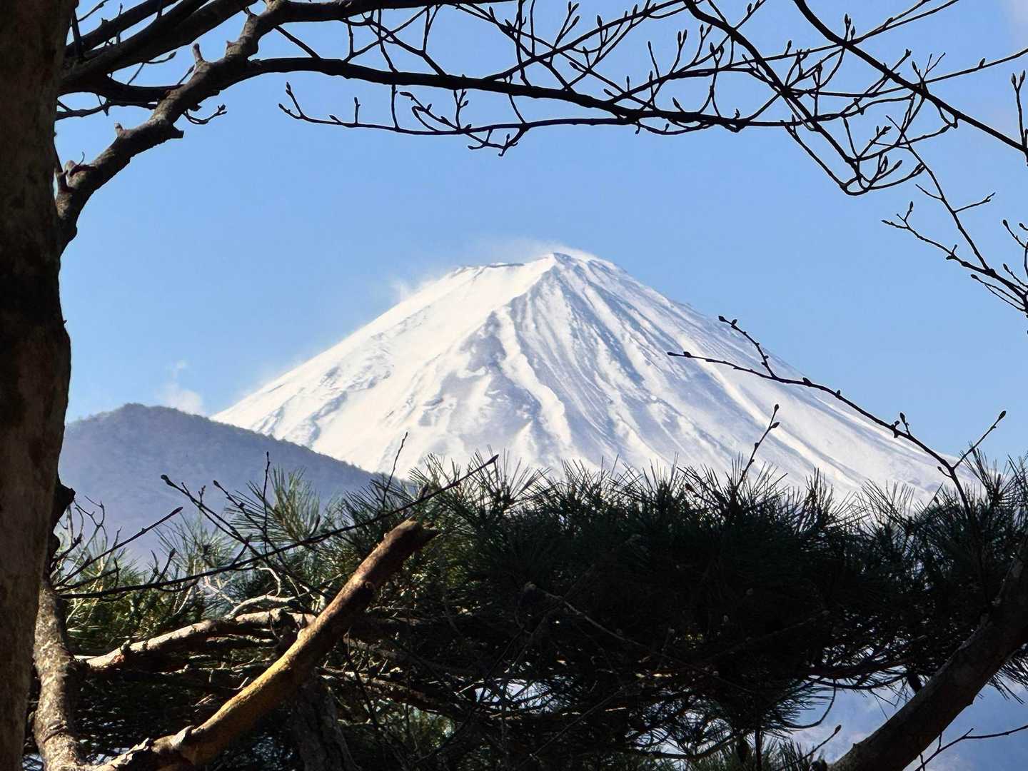 富士山見えます。昨日降った雪でまた真っ白に。