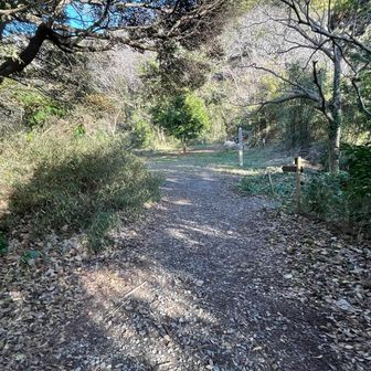 武山から1時間半歩いてやっと山道になりました