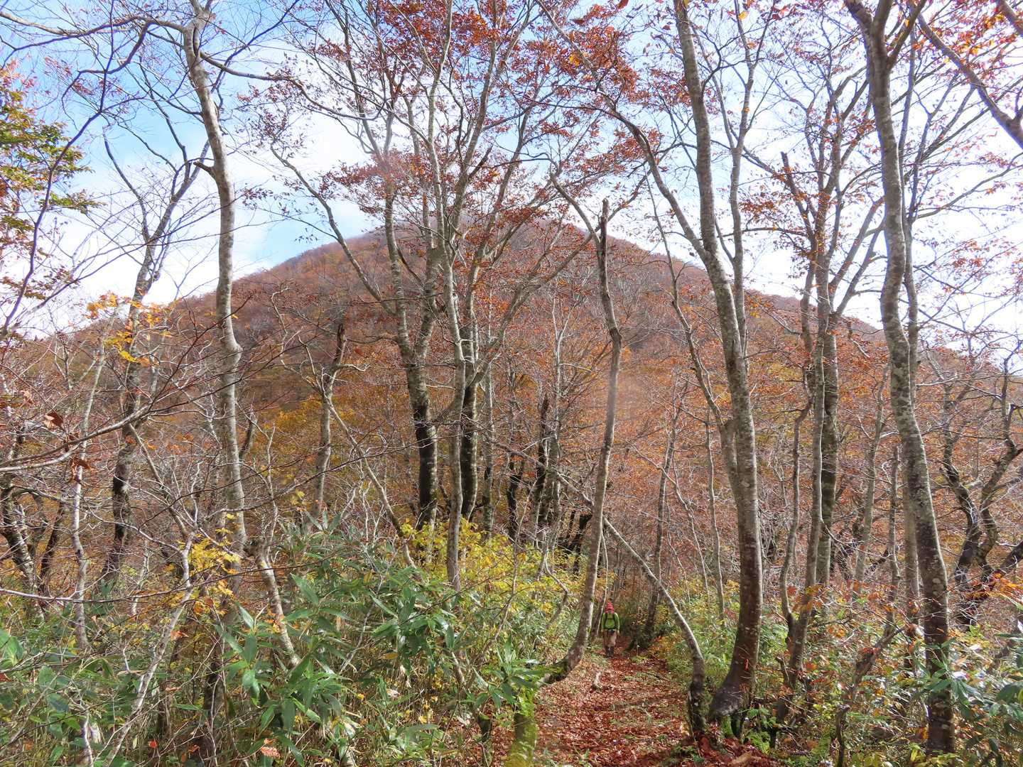 相沢林道登山口-女神山登り口-女神山 周回コースの写真
