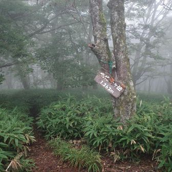 烏帽子ヶ岳　山頂に着きました
展望のいい奥に行って見ます