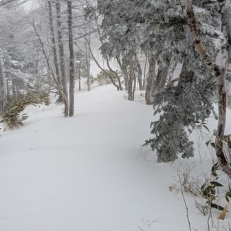 分かっっているけど下りに気持ちが沈む。
この先、赤テープが少なく、何処を通ればいいのかイマイチの分かりにくい。