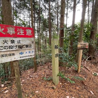 初めて登った時はここまで来るのがやっとでしたー