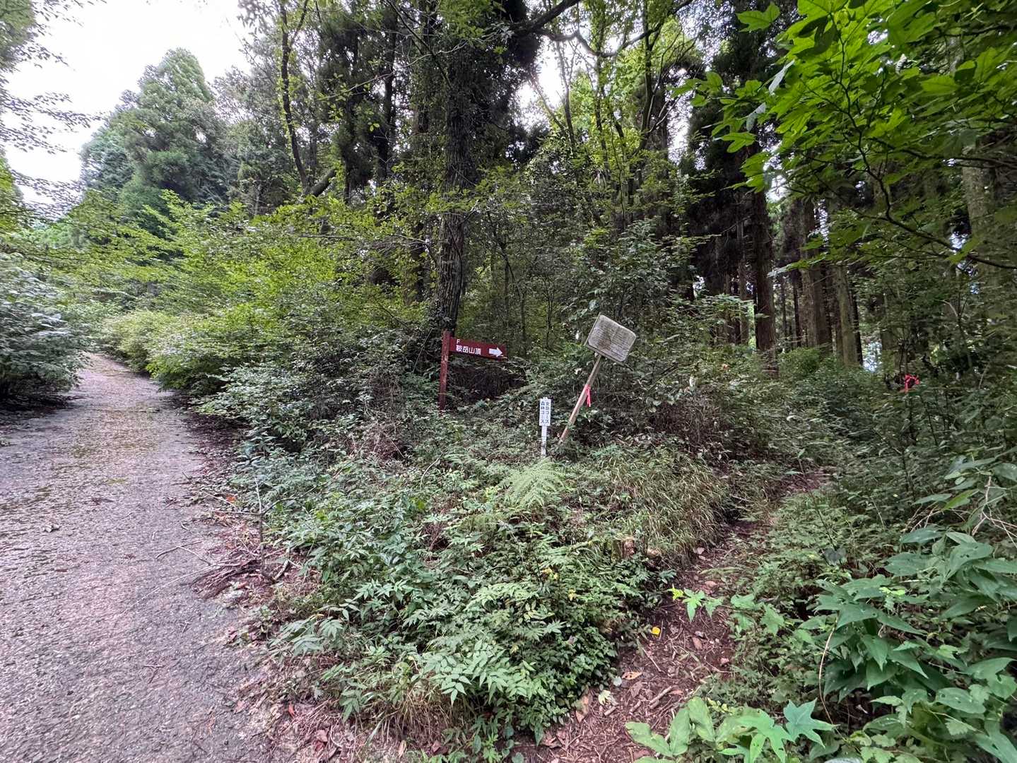 森林コース目指して、北尾根コースへ