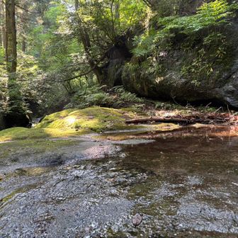 一枚岩を流れる水。そして風情を感じる苔むした岩🪨