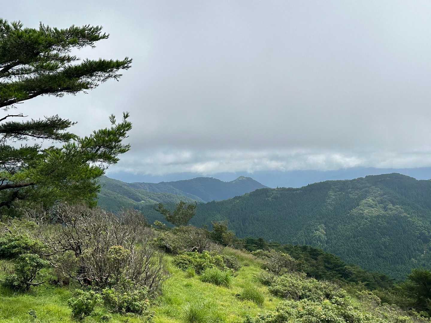 千町ヶ峰登山口-千町ヶ峰 往復コースの写真