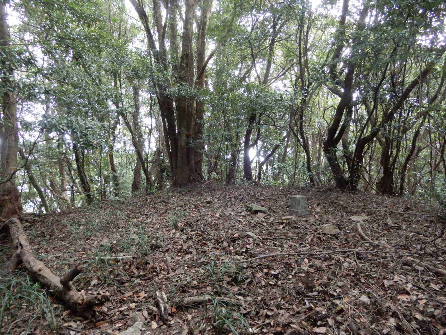 大見山（336.45ｍ）