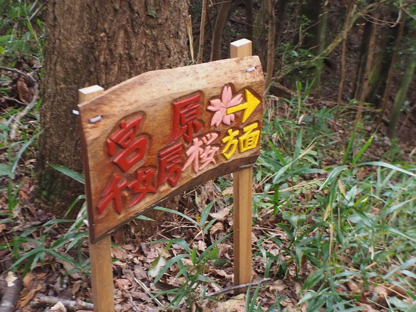 この看板初めてみた！