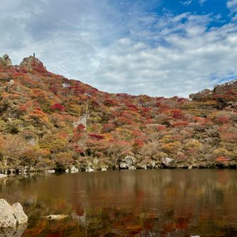 去年より水が多い気が。ちょうどいい天気すなぁ🍁