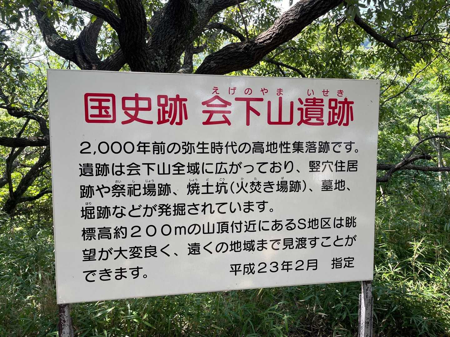 魚屋道でおりて無事に下山