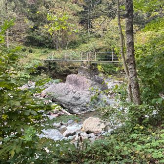 登山口の橋ですが、橋脚が自然の巨大な岩でした^_^