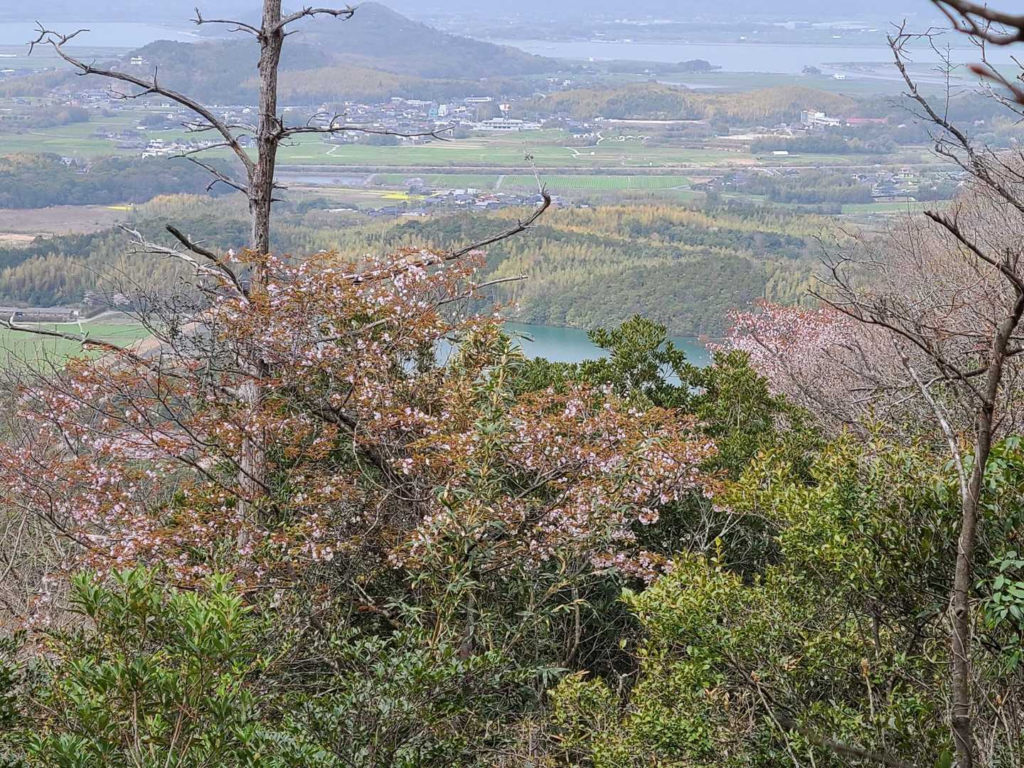 東登山口-亀尾山 周回コースの写真