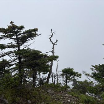 晴れてたらさぞ絶景なんでしょう