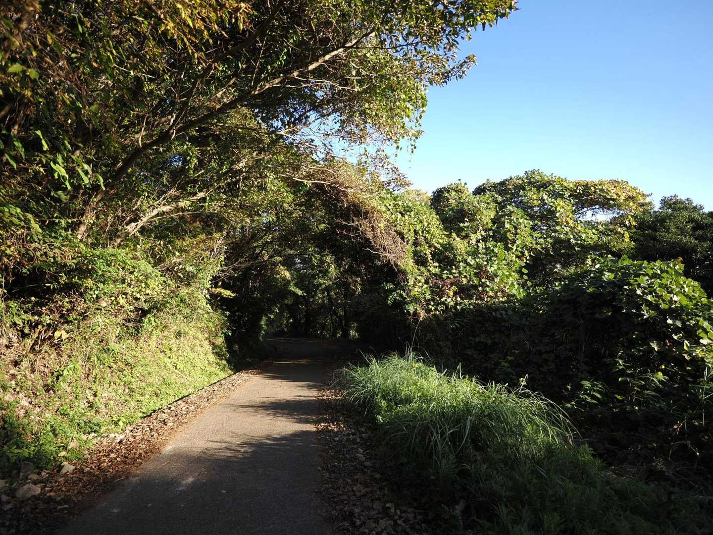 日差しがあったかい^_^