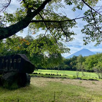 西湖野鳥の森公園からスタート