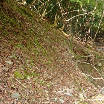 いきなりだけど、どう進む？