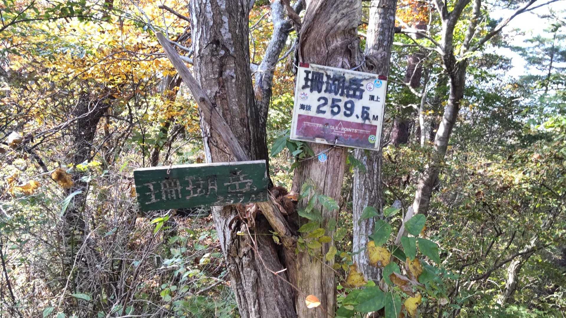 一座目　珊瑚岳259.5m