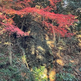 滝岩　いつも🤔と思っていましたが
今日はなんとなく滝に見えたような…