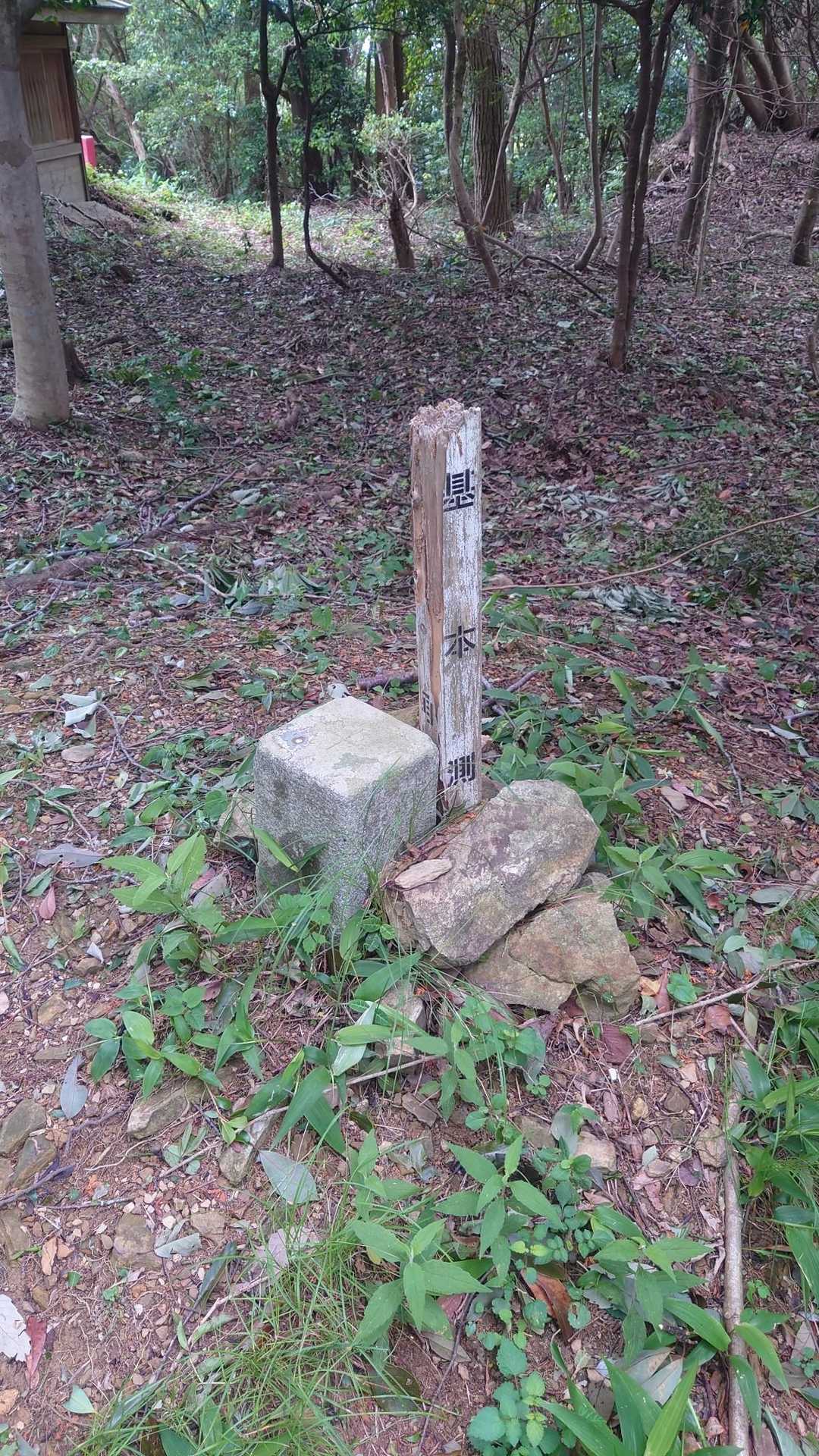 音無山三角点
音無山山頂標識は不明