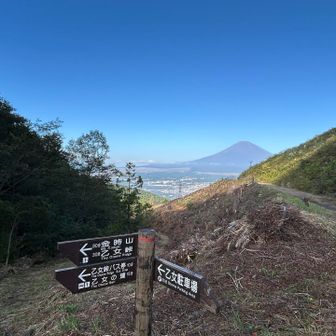 少し欠けてますが、いい富士山。
金ちゃんはいません。