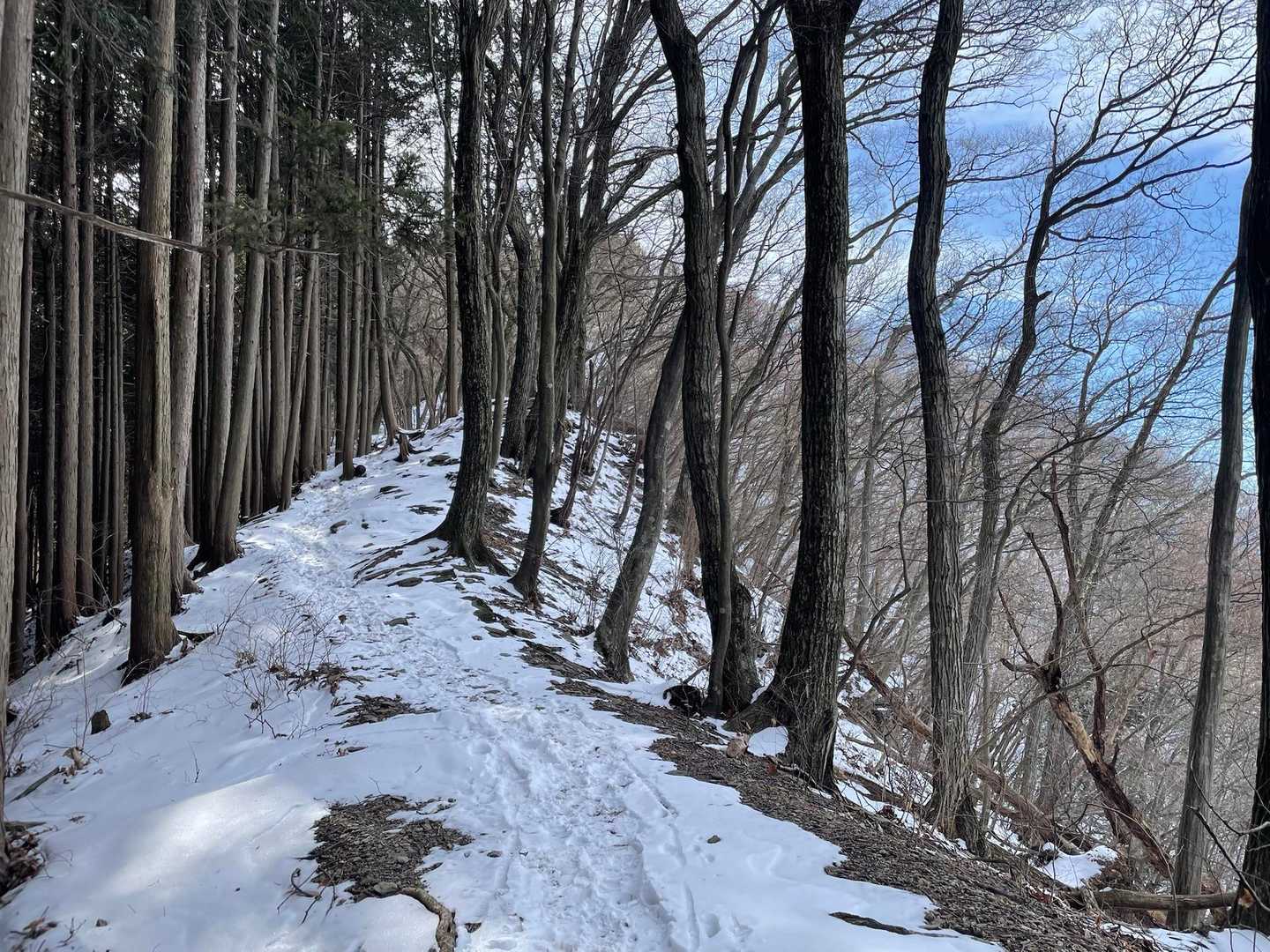 尾根美しい❄️