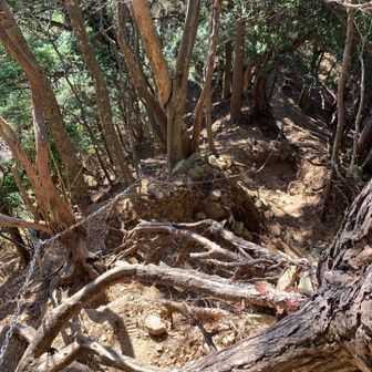 右側は土がえぐれて、どうやって降りるの〜😱
左側通って途中から右側に戻って⋯怖いよ〜💦