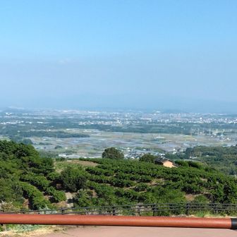半高山に戻り📷