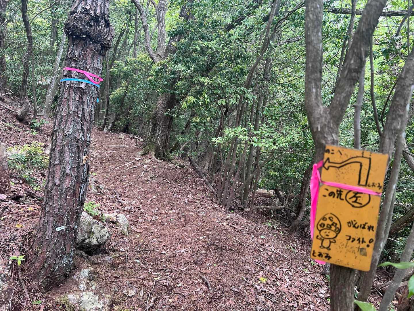 道に迷わない様に