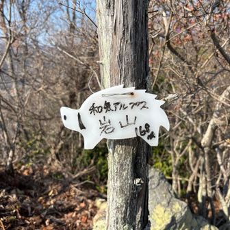 イノシシ、イラスト付き