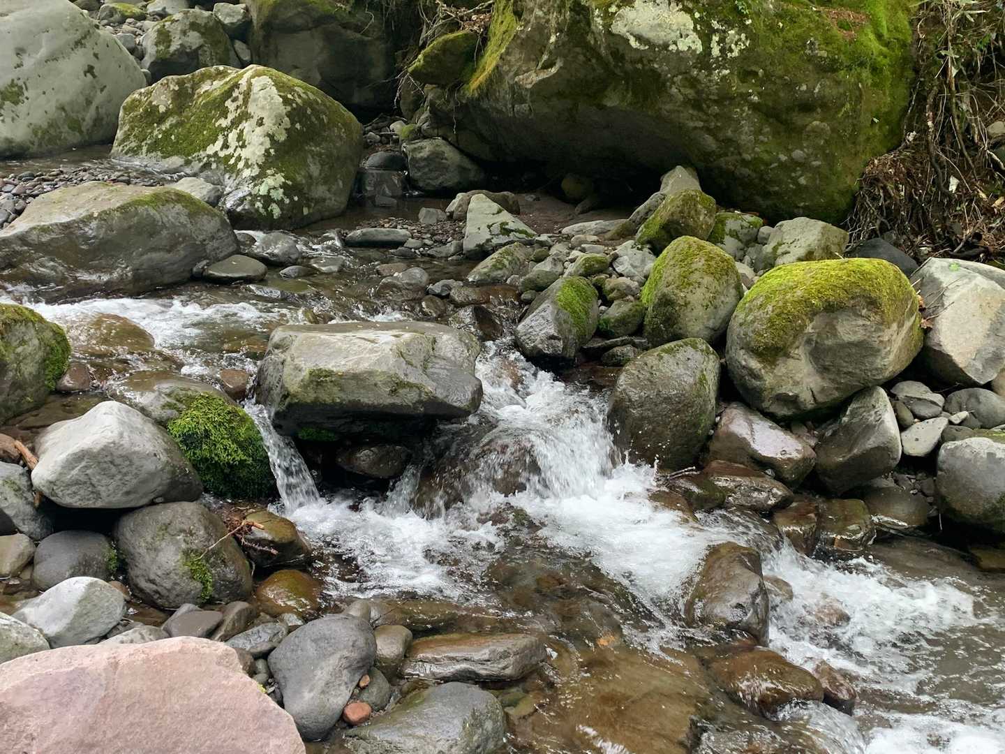 美し森山 周回コースの写真