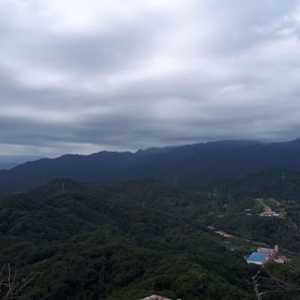 高縄半島も