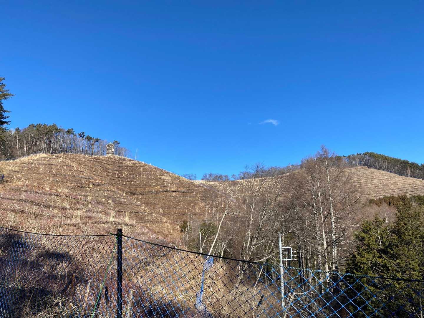 木が切り倒された場所に出た
