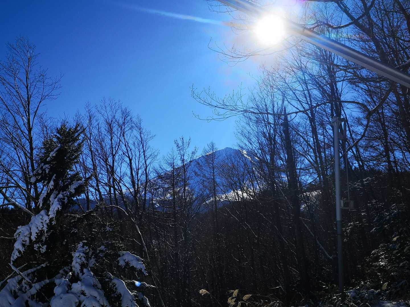天神山（山梨県南都留郡鳴沢村）の写真