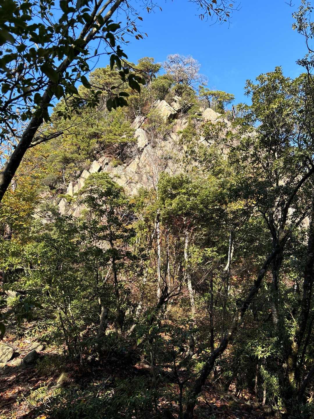 さっきいた三角山が見えます。
どおりで、石　岩🪨多かった😅