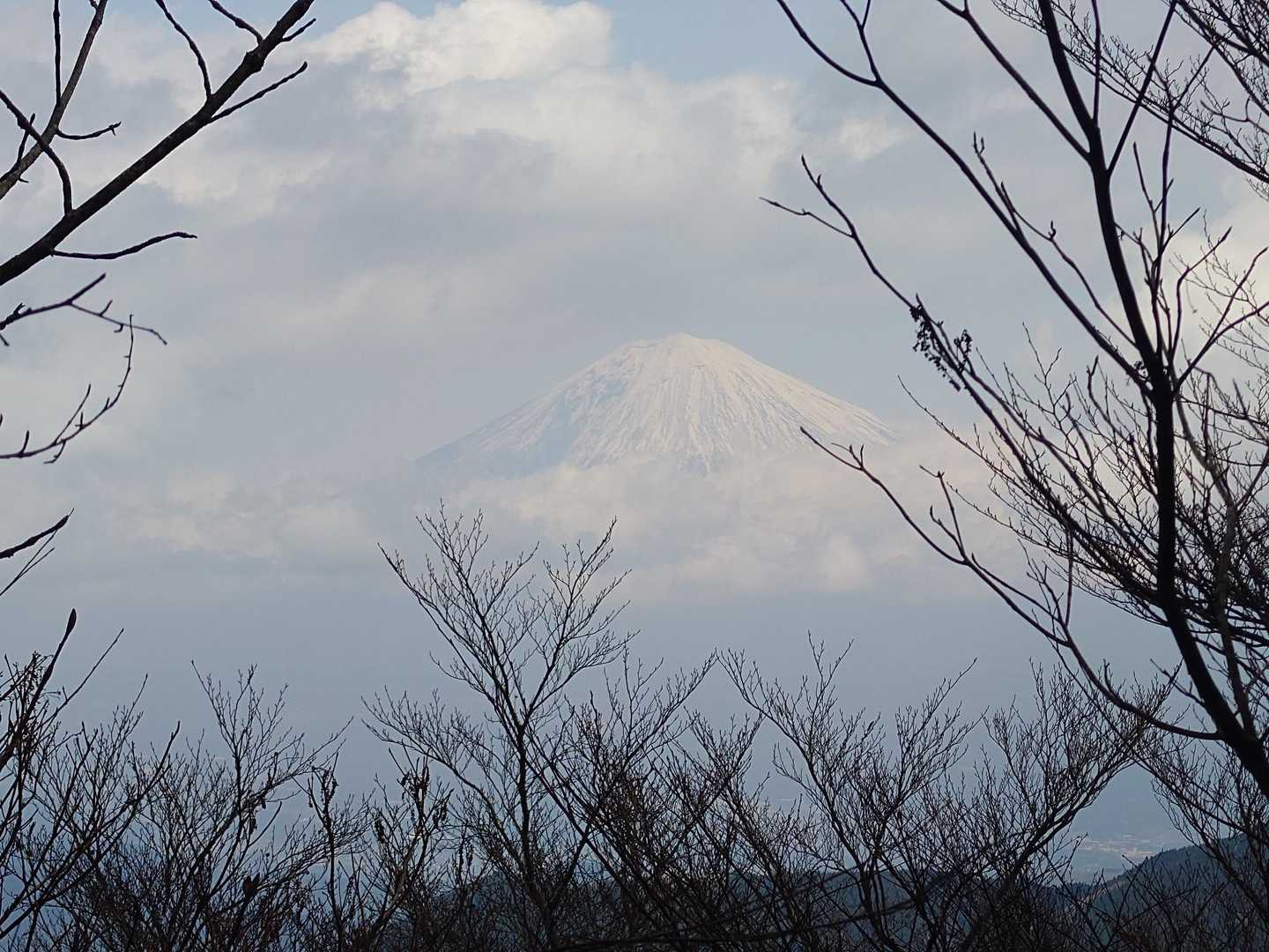 雪降ったね
