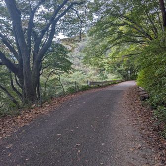 一応国道