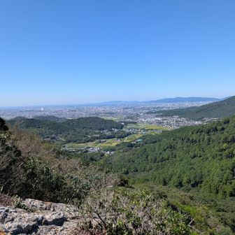 西テラスから