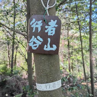 7座目
ここの取りつきわからなくて藤尾奥山からの帰りに見つけて登りました