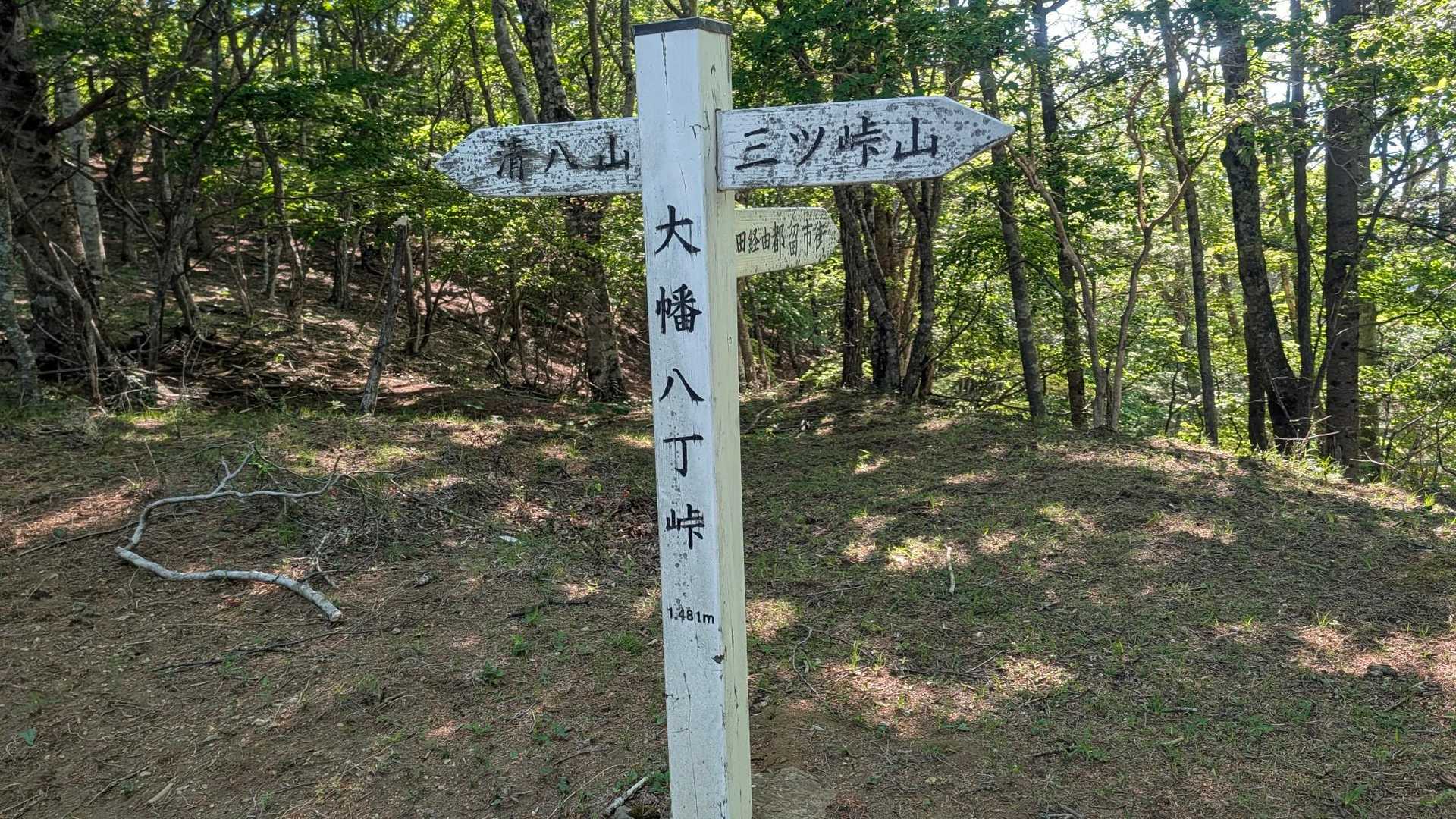 三ッ峠山登山口-大幡八丁峠-清八山-清八峠-本社ヶ丸 往復コースの写真