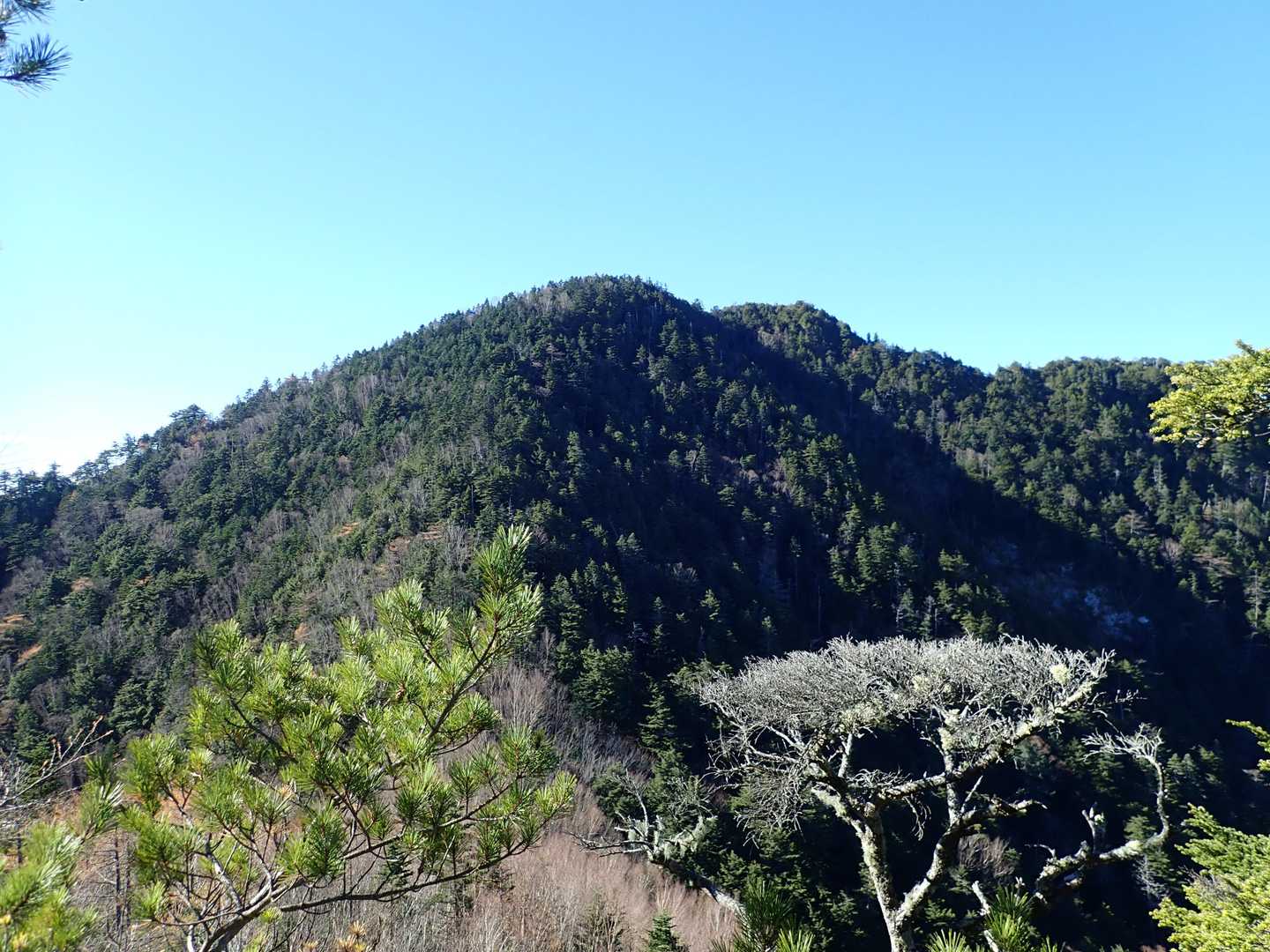 御座山が良く見えます。