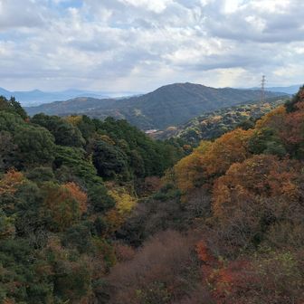 吊り橋からの展望✨
雲が多くなってきたな…
