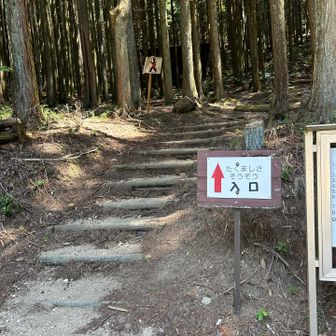 行きは、たくましさコースを選択
キツかったぁ〜🤣