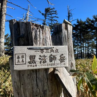 新しめの看板。
無教養なので読めない...1974年がどうしたんだろう🧐

(追記)
博識フォロワー様より教えて頂きました。
「1974年伐採調査されている」とのことでした。