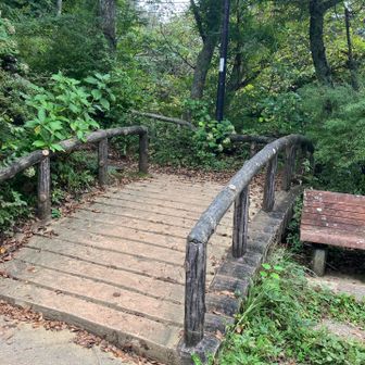 登り口にもどってきました。
1時間49分が経過。
