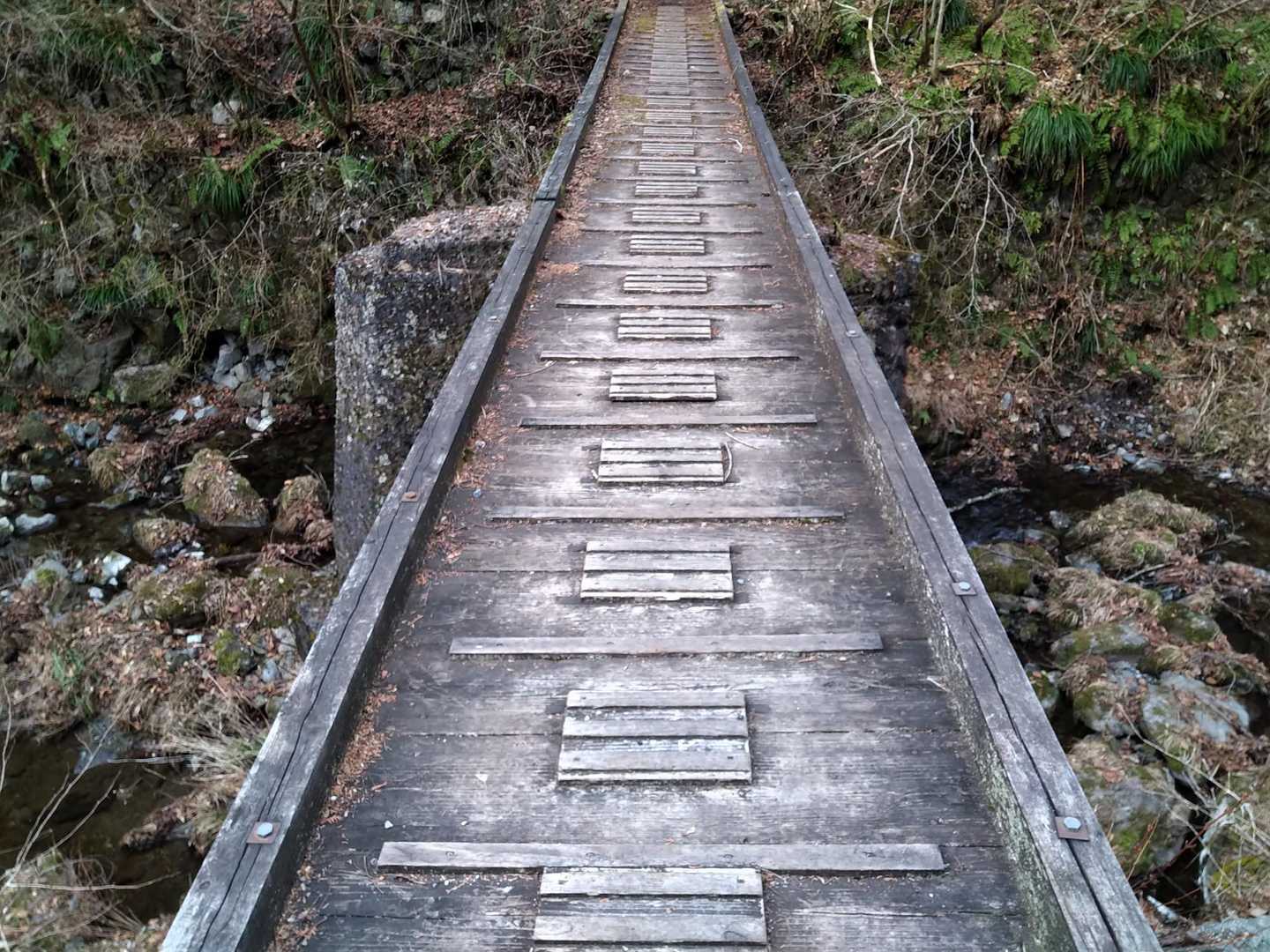 秩父華巌前バス停-大前山-札立峠-破風山-礼所前バス停 周回コースの写真