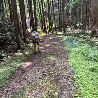 まだまだこんな道😆💦