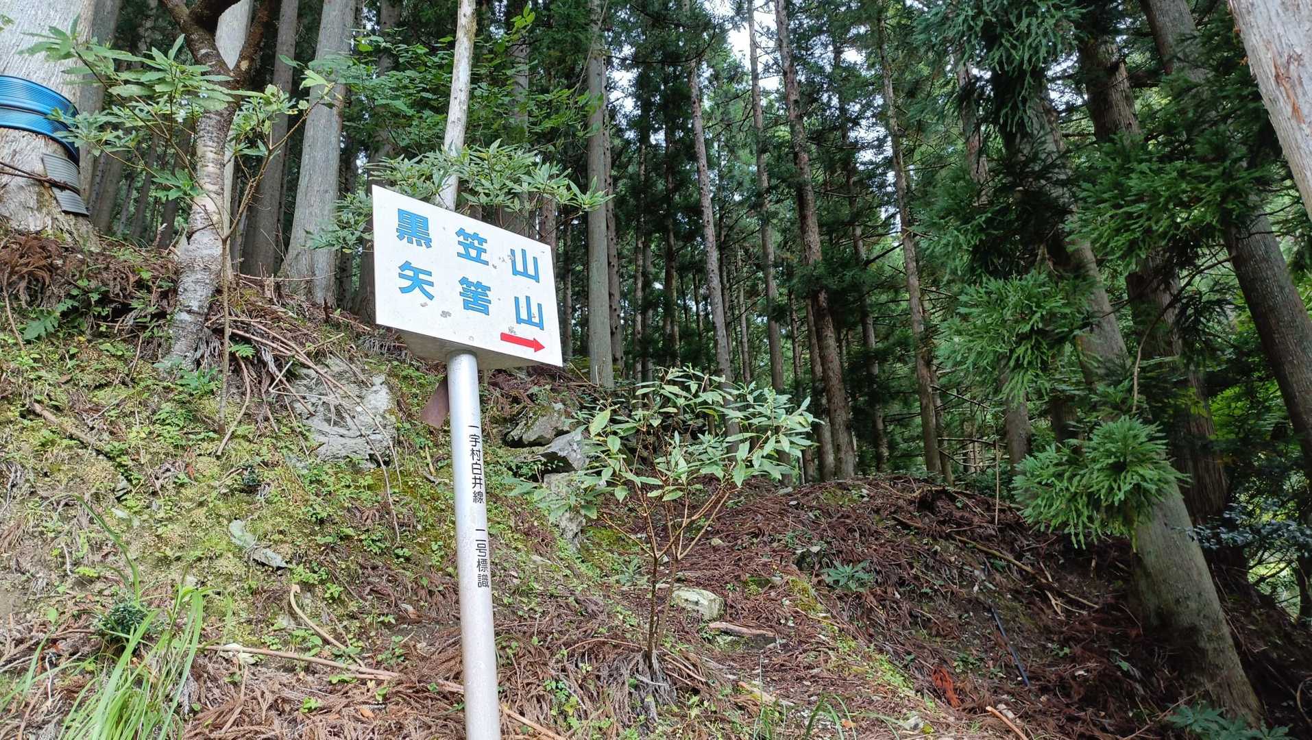 ここから登山スタート🙌