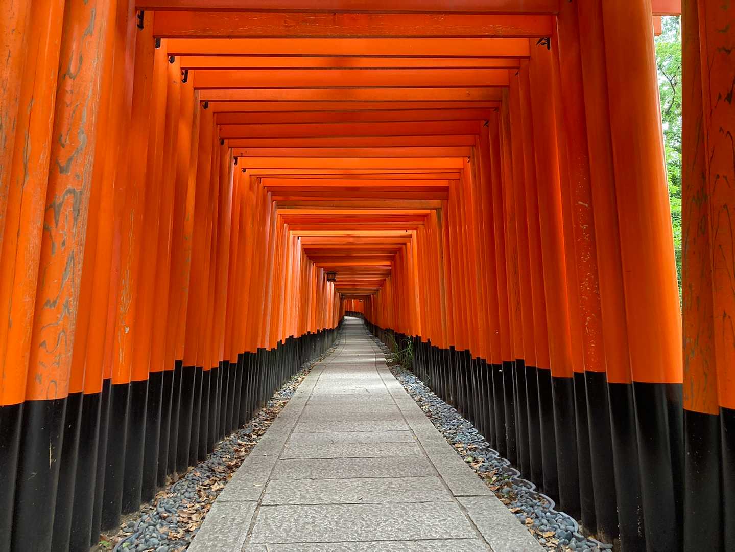 圧巻